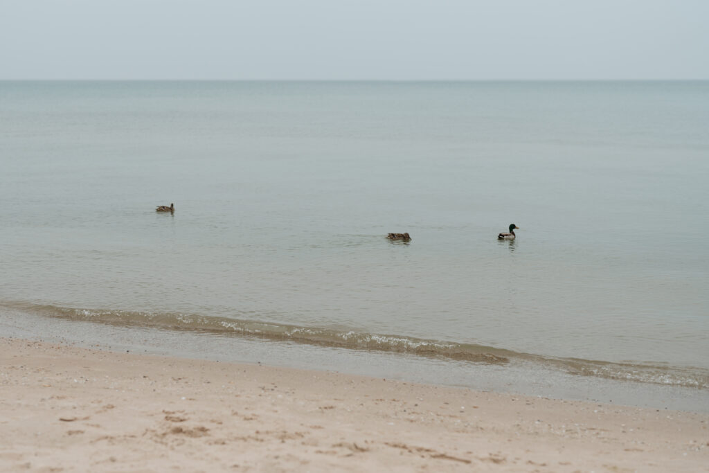 Door-County-WI-Elopement_-90-1024x683